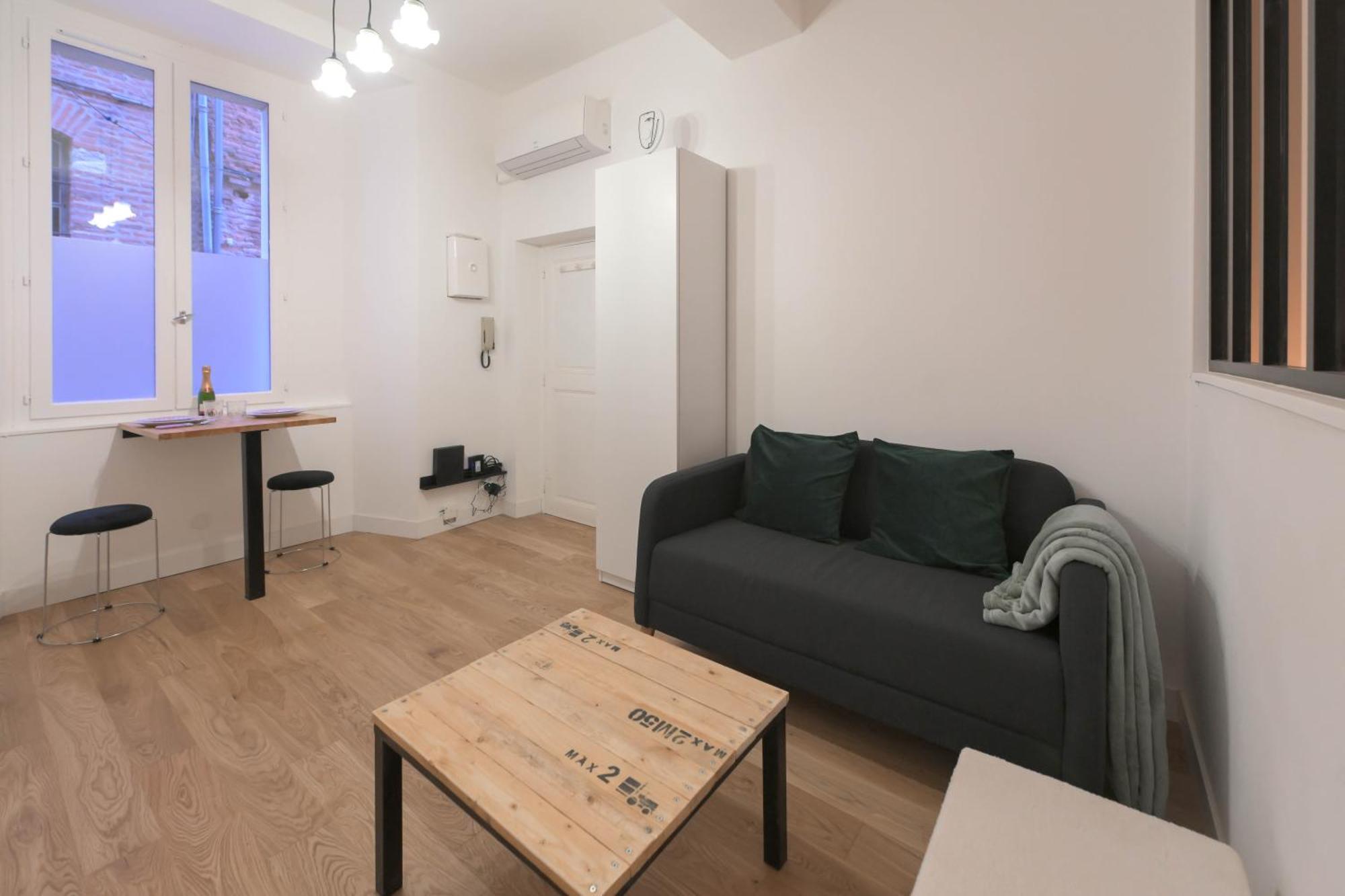 Appartement T1 Bis L'Enfilade Albi Exteriör bild
